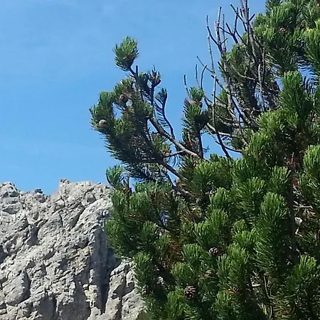 Parth ザウテンス