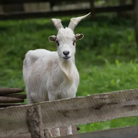 Апартаменты Parth Заутенс