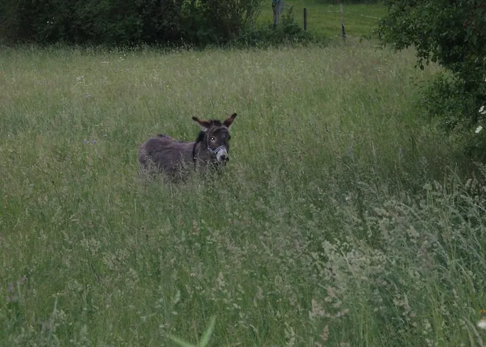 アパート Parth *