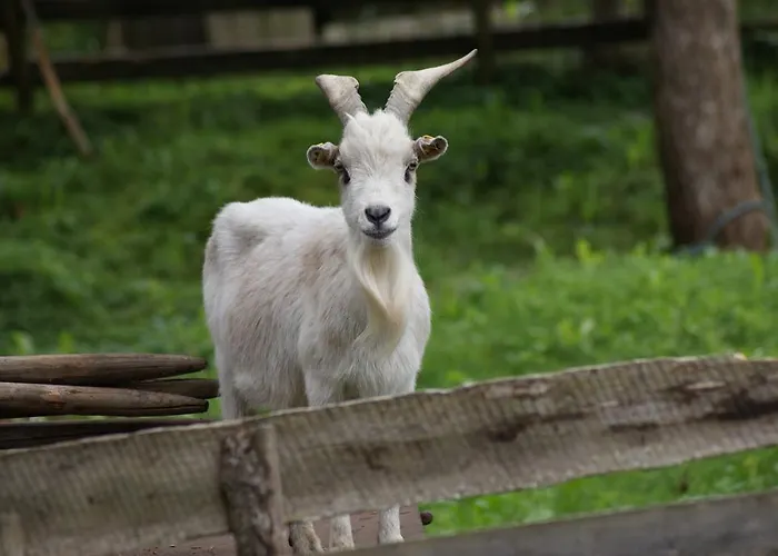 公寓 Parth 索滕斯